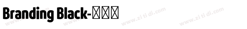Branding Black字体转换